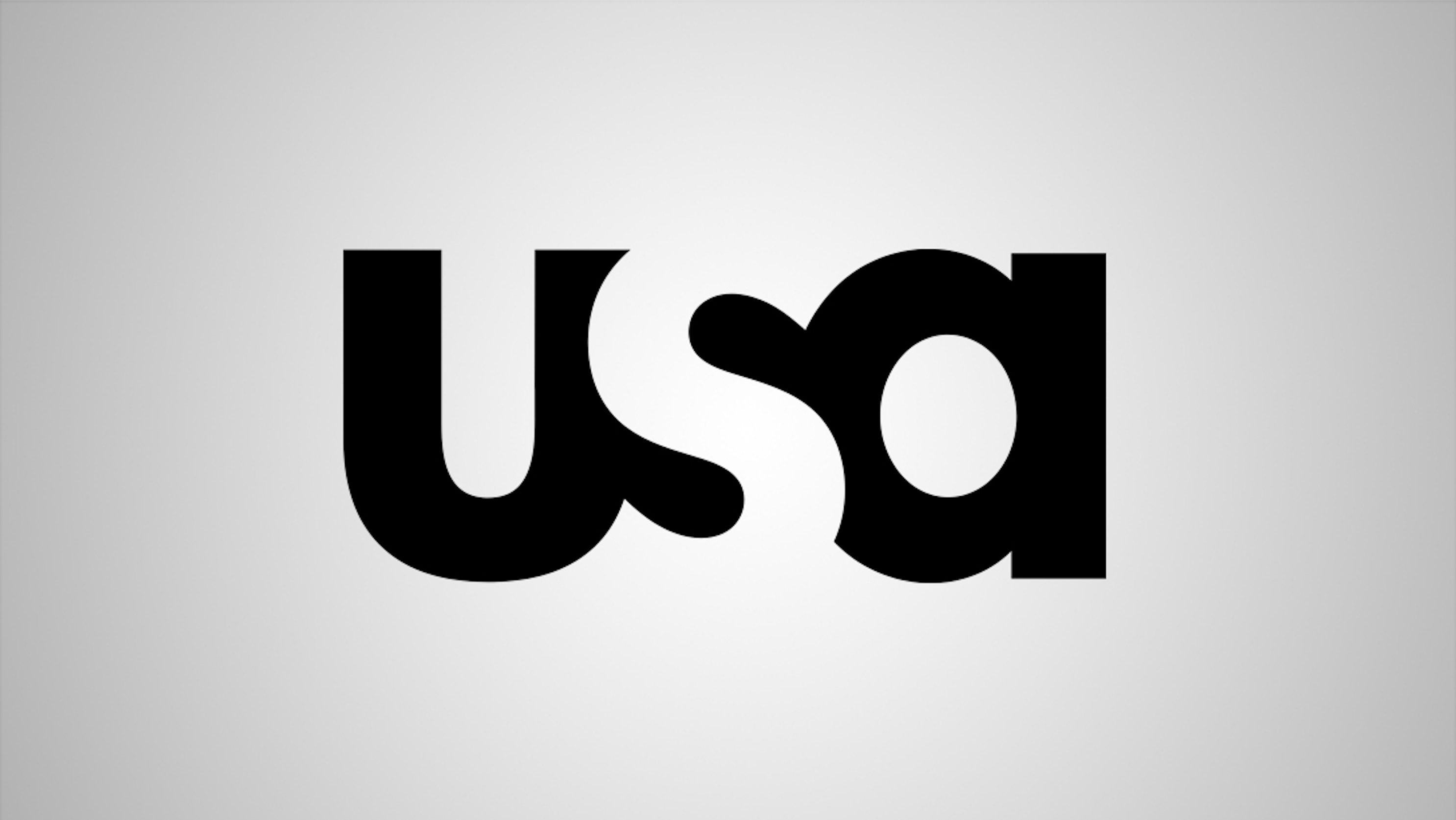 USA Logo